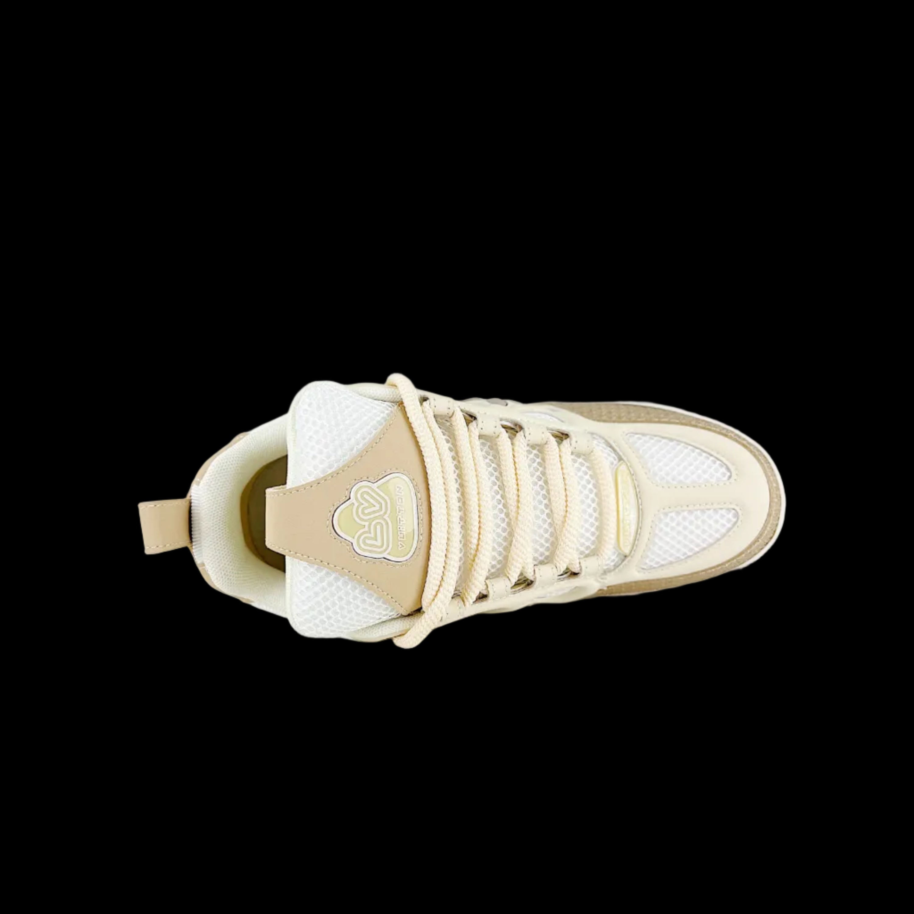 LV Skate Trainer