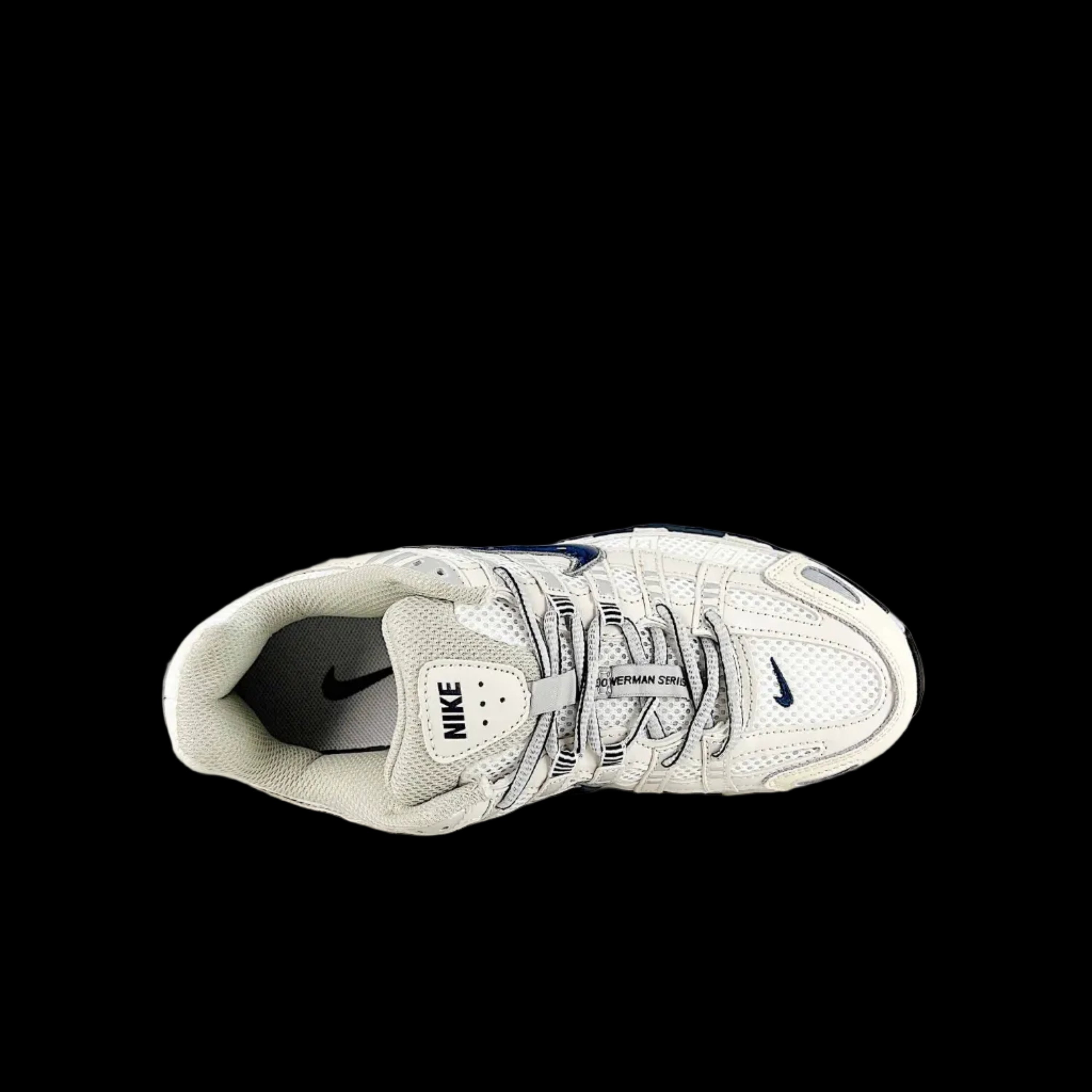 N1kE P6000