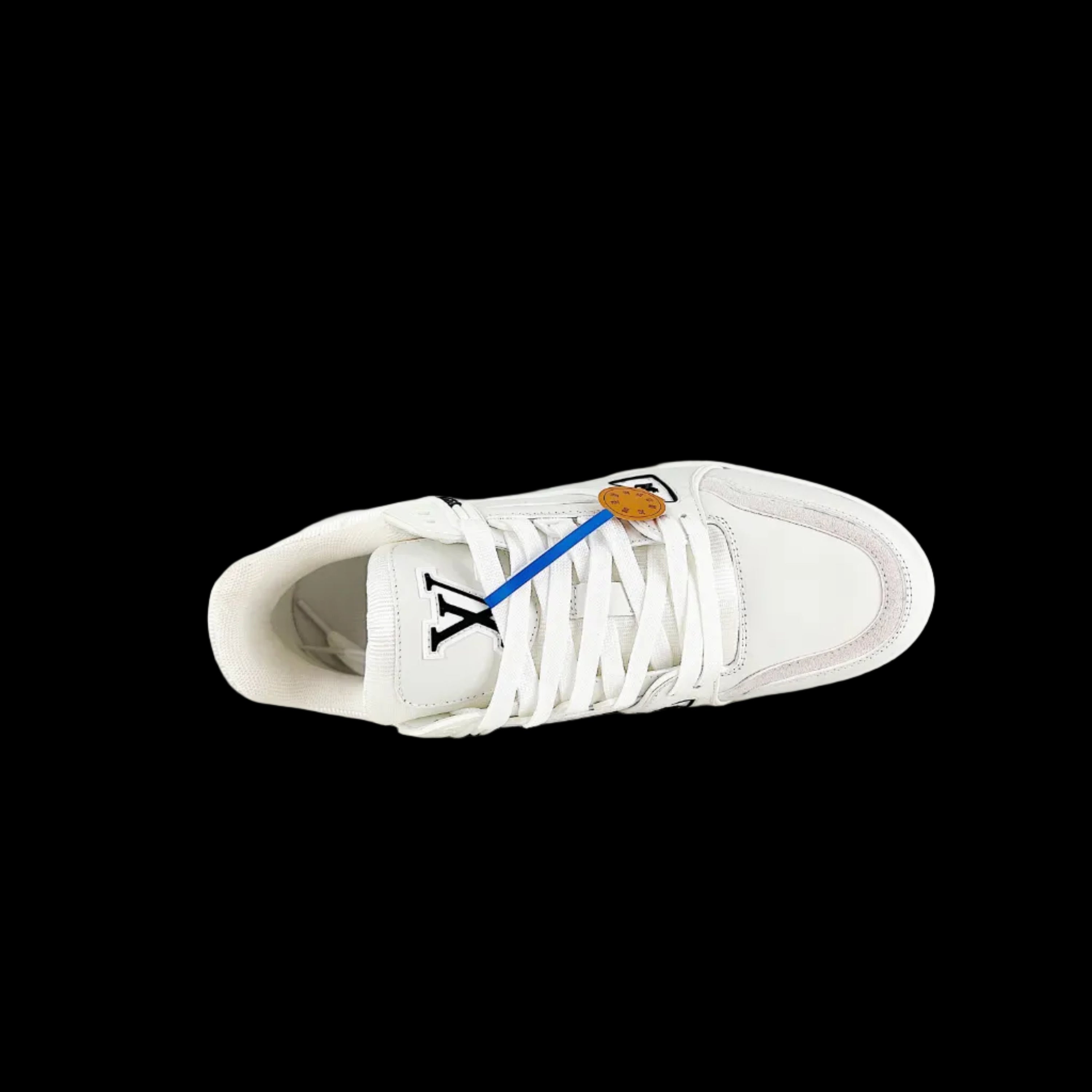 LV Trainer